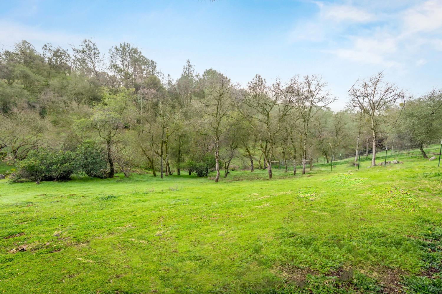 16004 Perimeter Road Grass Valley, CA 95949 - Photo 12 of 90