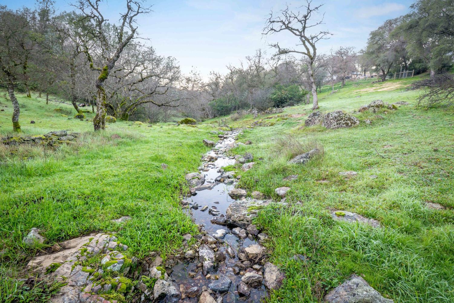 16004 Perimeter Road Grass Valley, CA 95949 - Photo 13 of 90