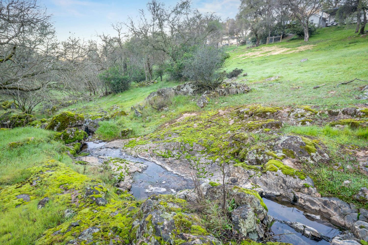 16004 Perimeter Road Grass Valley, CA 95949 - Photo 14 of 90