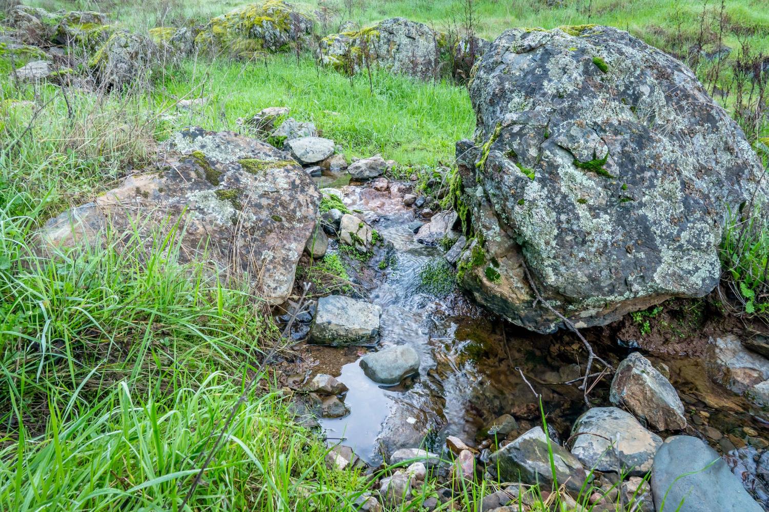 16004 Perimeter Road Grass Valley, CA 95949 - Photo 15 of 90