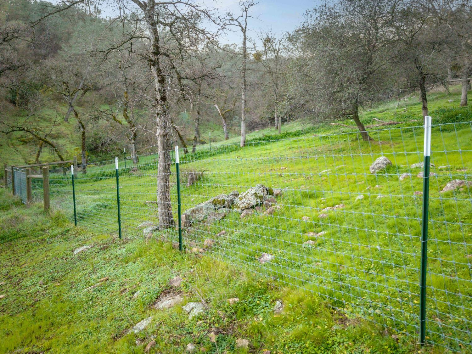 16004 Perimeter Road Grass Valley, CA 95949 - Photo 16 of 90