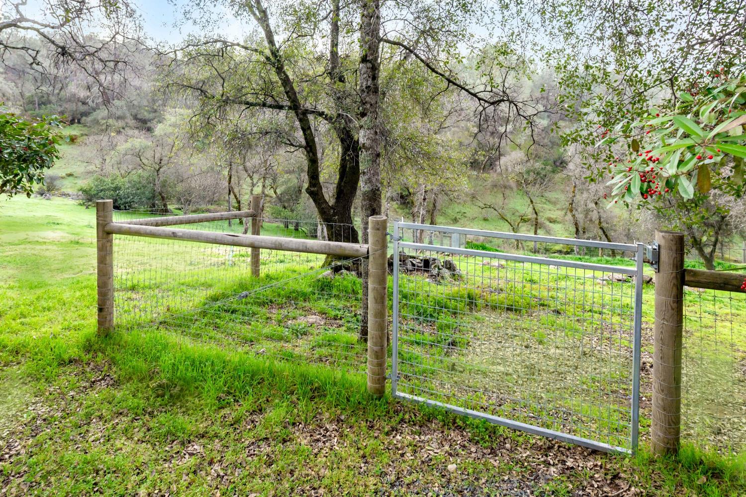 16004 Perimeter Road Grass Valley, CA 95949 - Photo 75 of 90