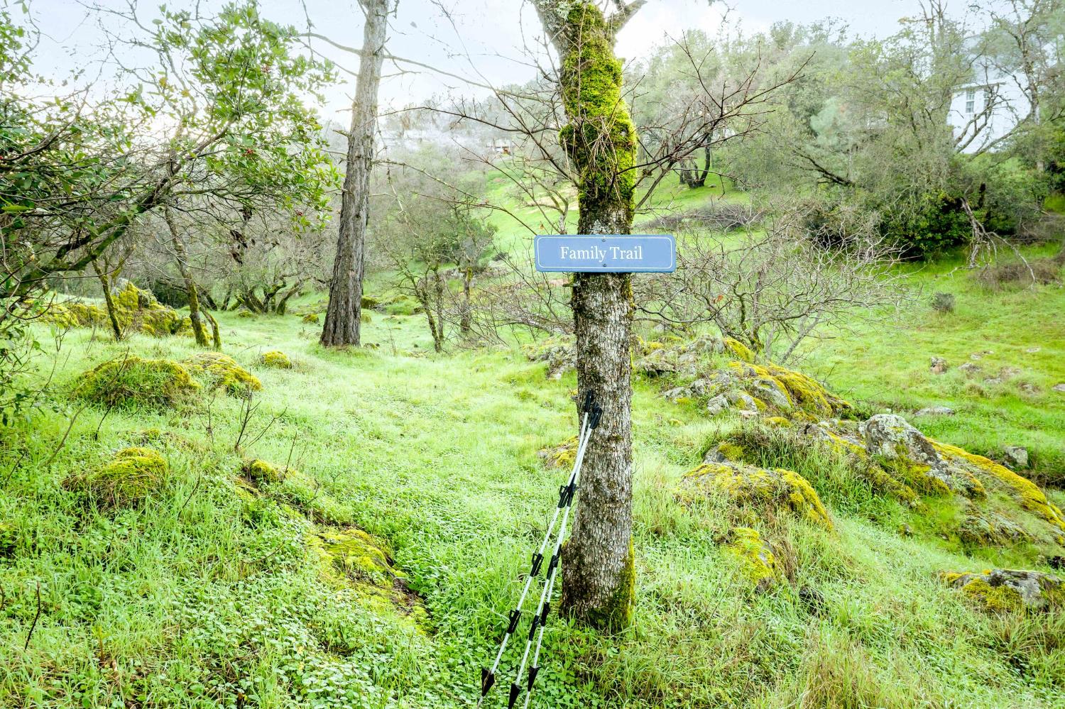 16004 Perimeter Road Grass Valley, CA 95949 - Photo 77 of 90