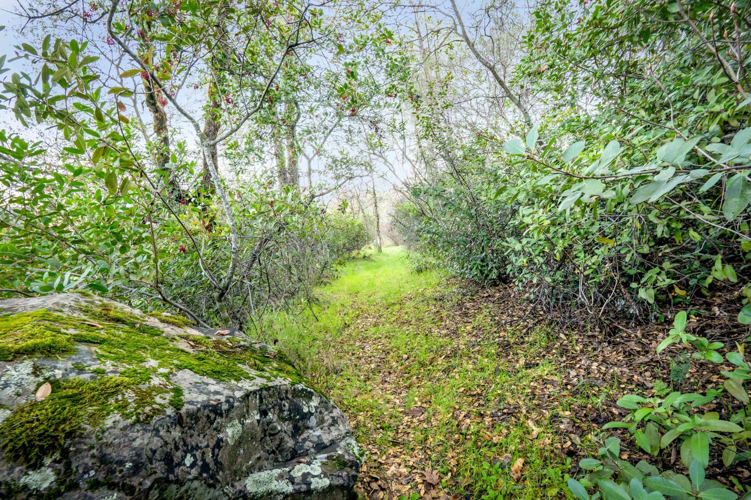 16004 Perimeter Road Grass Valley, CA 95949 - Photo 78 of 90