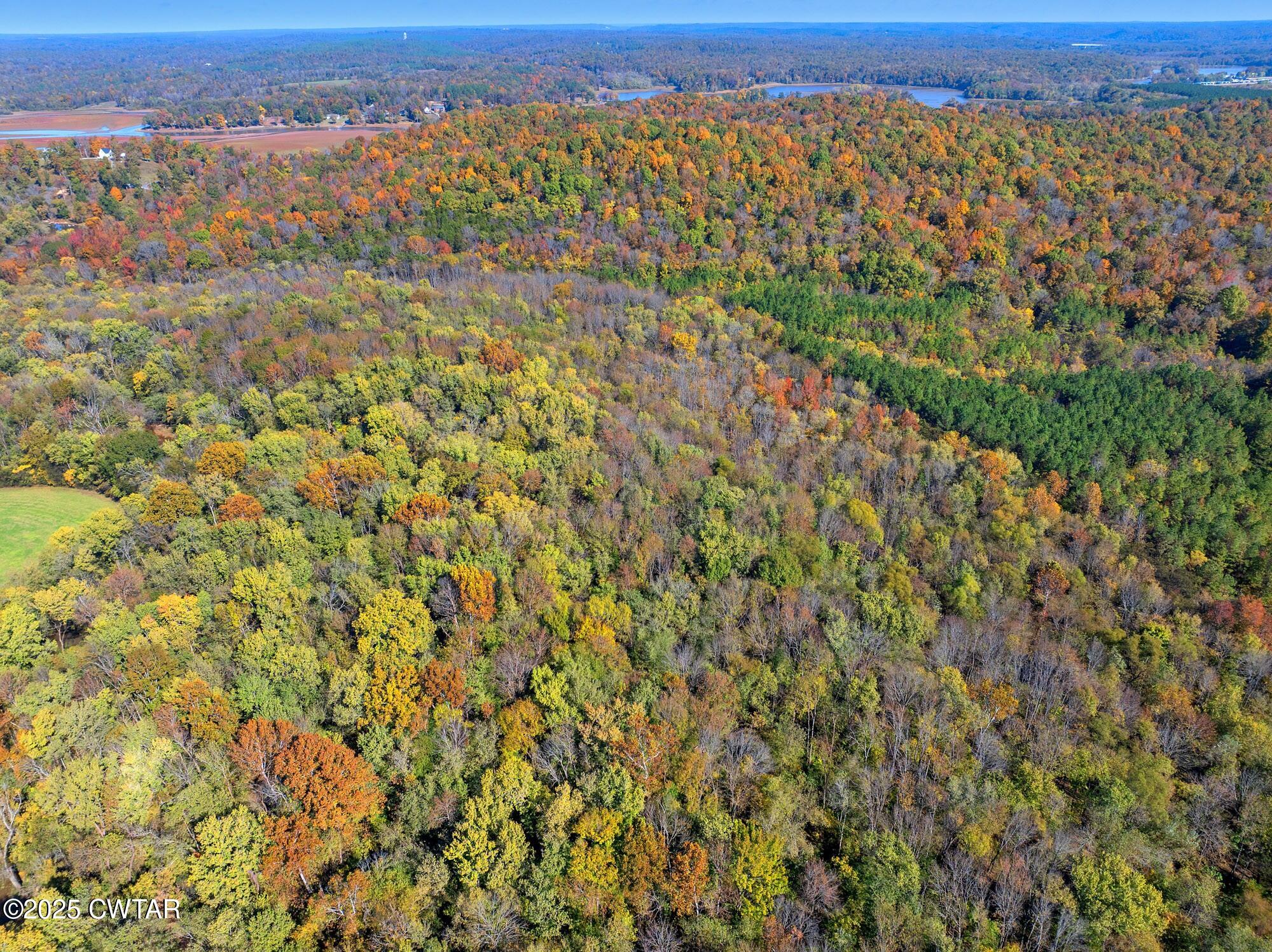 an aerial view of residential houses with outdoor space and trees