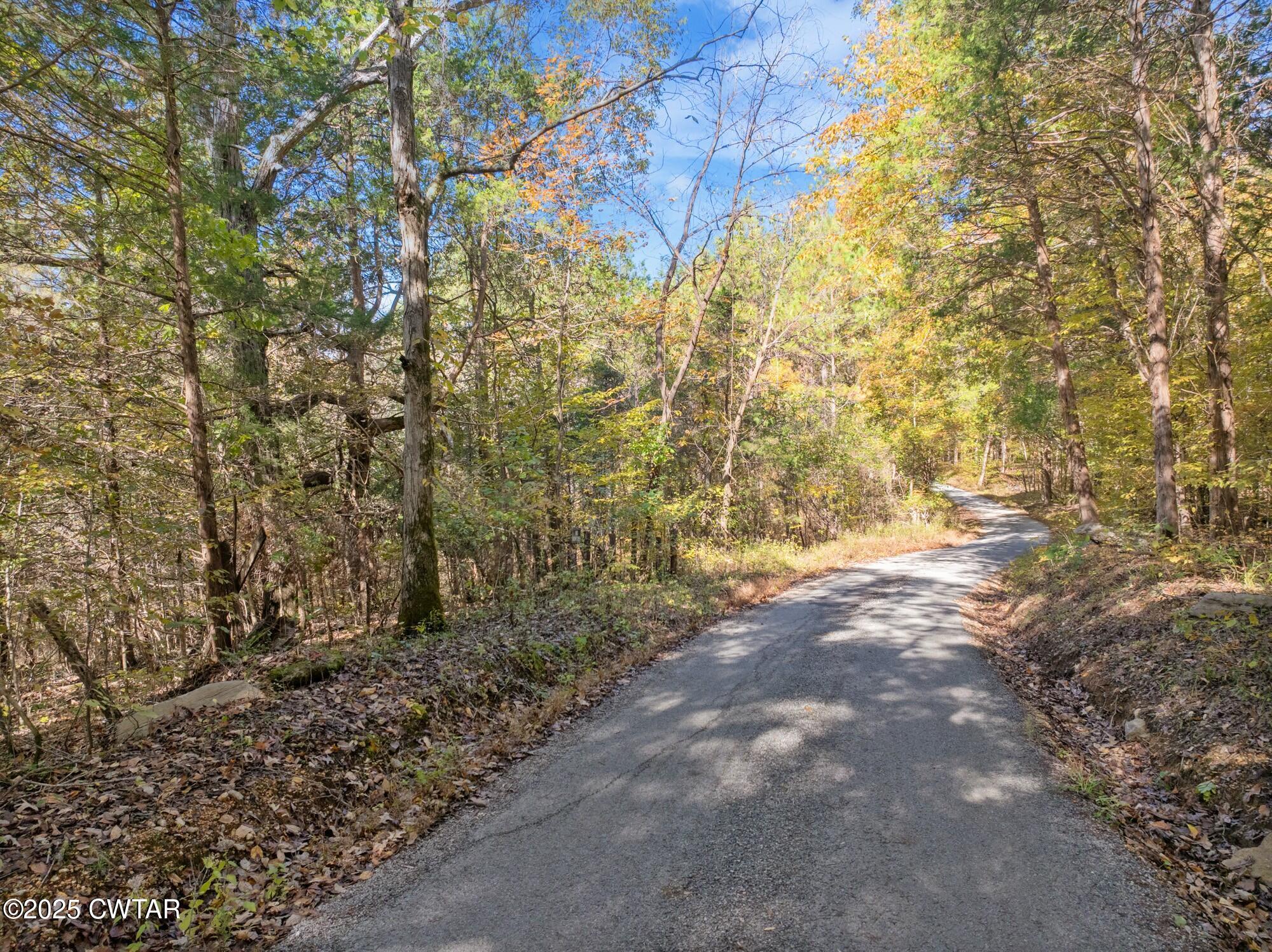 0 Dr Fisher Lane Decaturville, TN 38329 - Photo 17 of 25 a view of forest