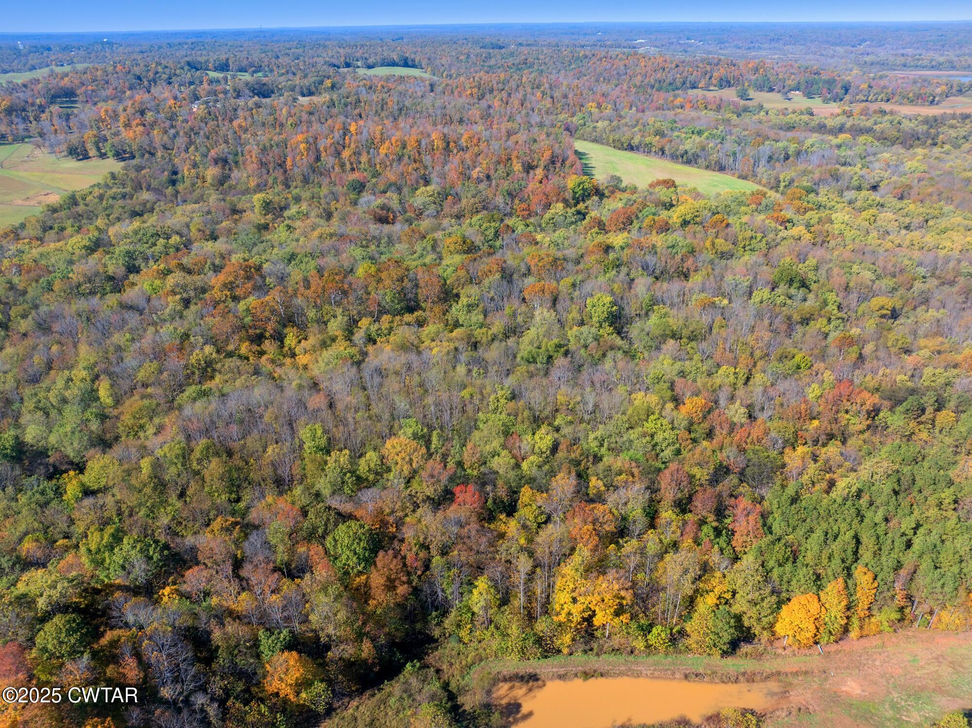 0 Dr Fisher Lane Decaturville, TN 38329 - Photo 18 of 25