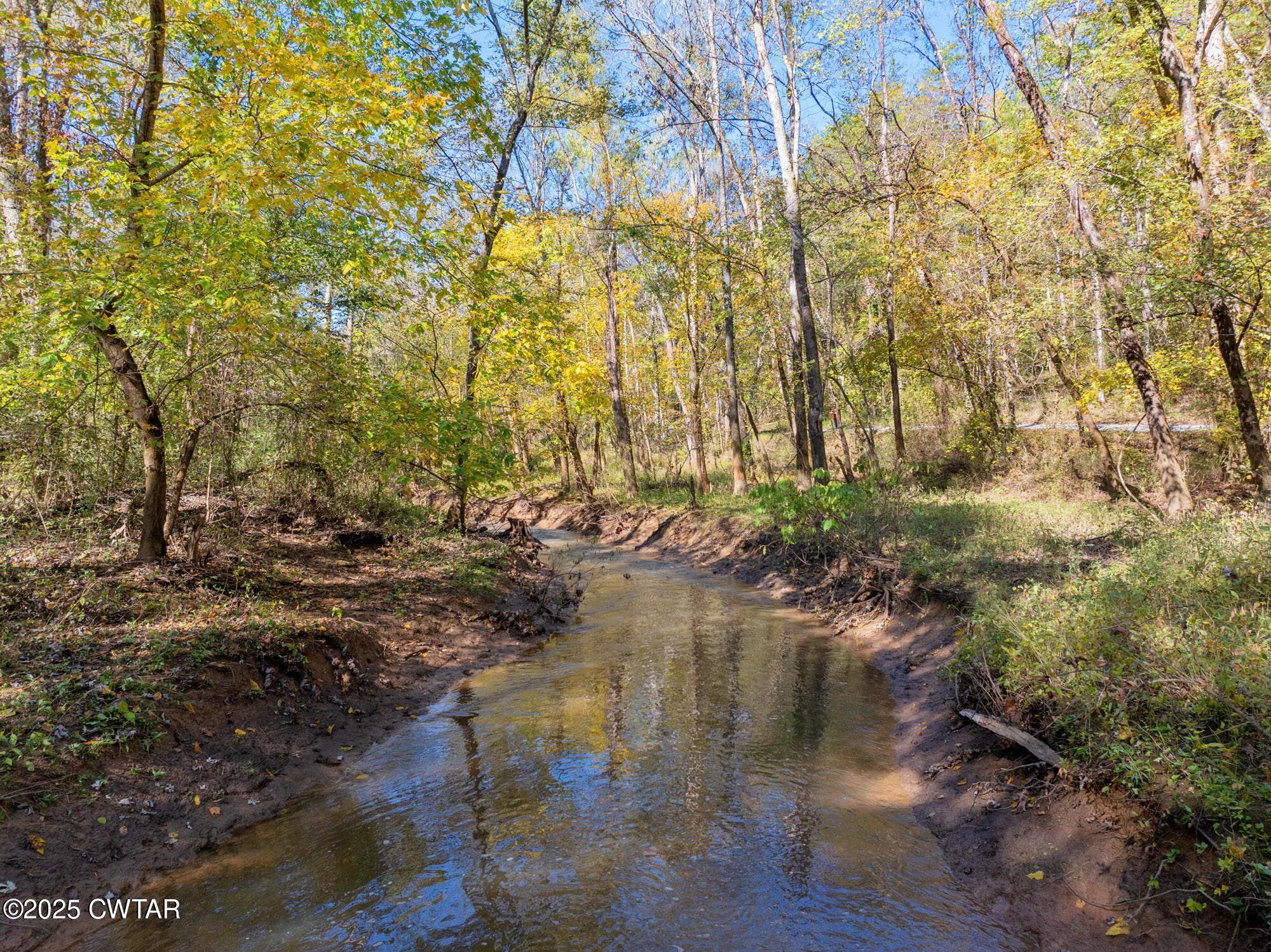 0 Dr Fisher Lane Decaturville, TN 38329 - Photo 21 of 25 a view of water with large trees