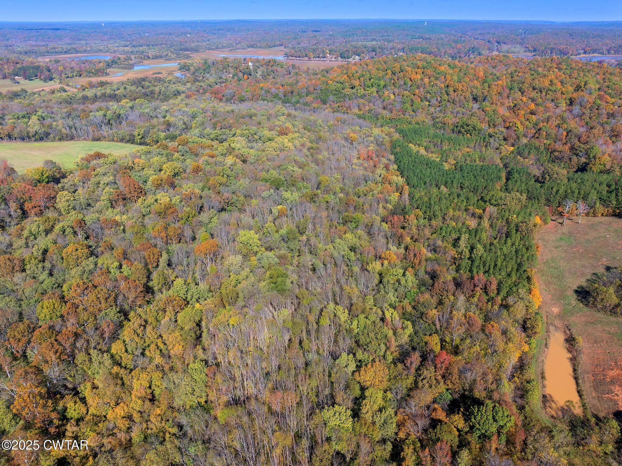 0 Dr Fisher Lane Decaturville, TN 38329 - Photo 22 of 25 a view of a city with lush green forest