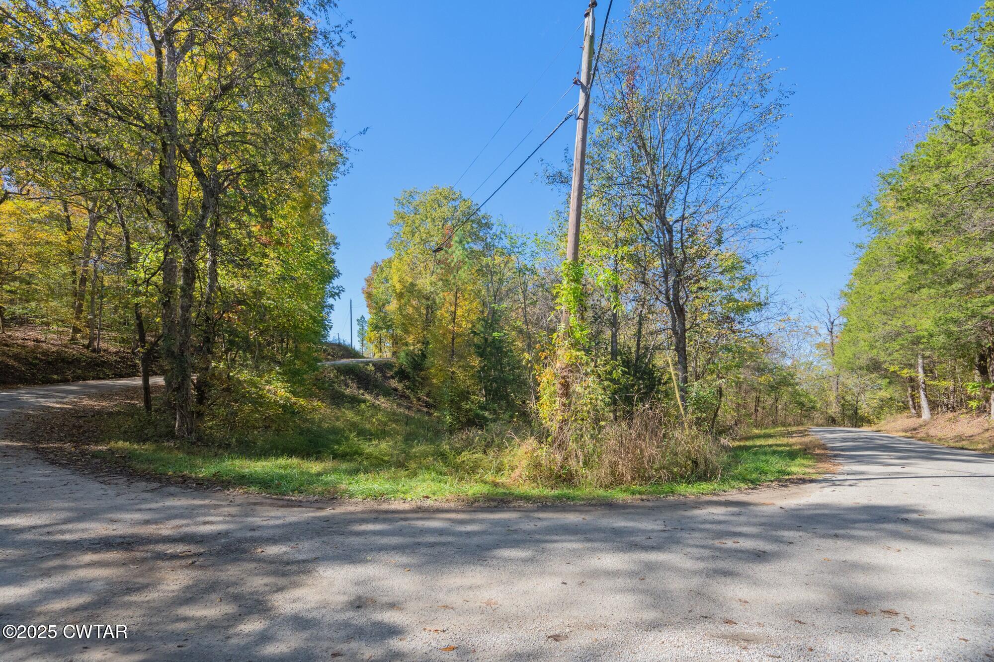 0 Dr Fisher Lane Decaturville, TN 38329 - Photo 23 of 25 a view of a yard with plants and trees