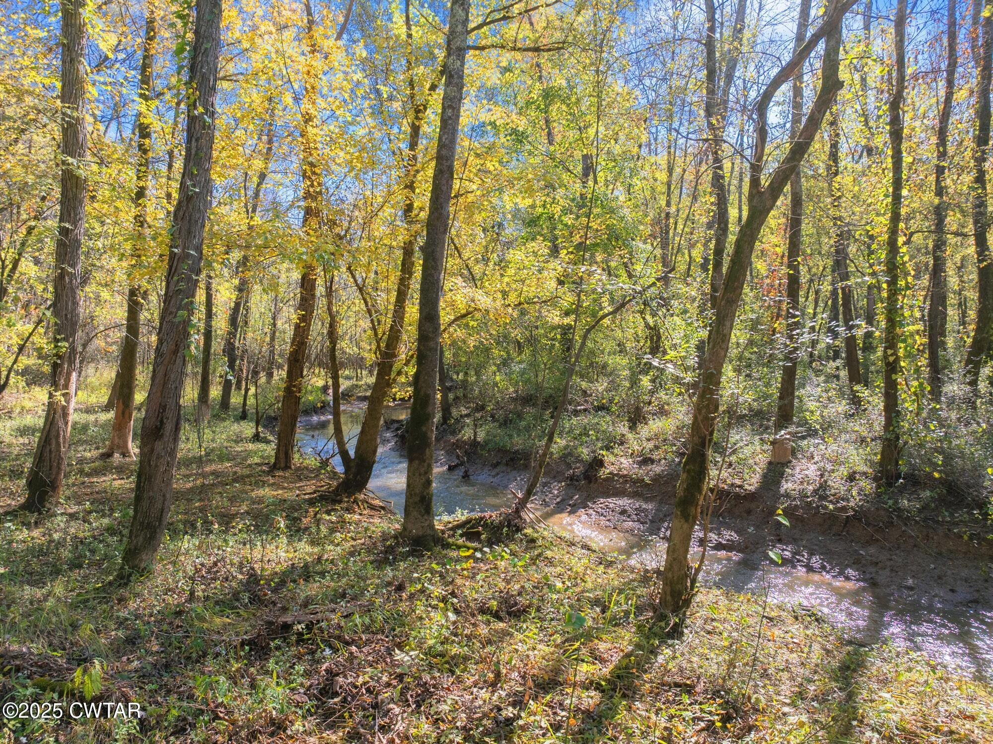 0 Dr Fisher Lane Decaturville, TN 38329 - Photo 24 of 25 a backyard of a house with lots of green space and chair