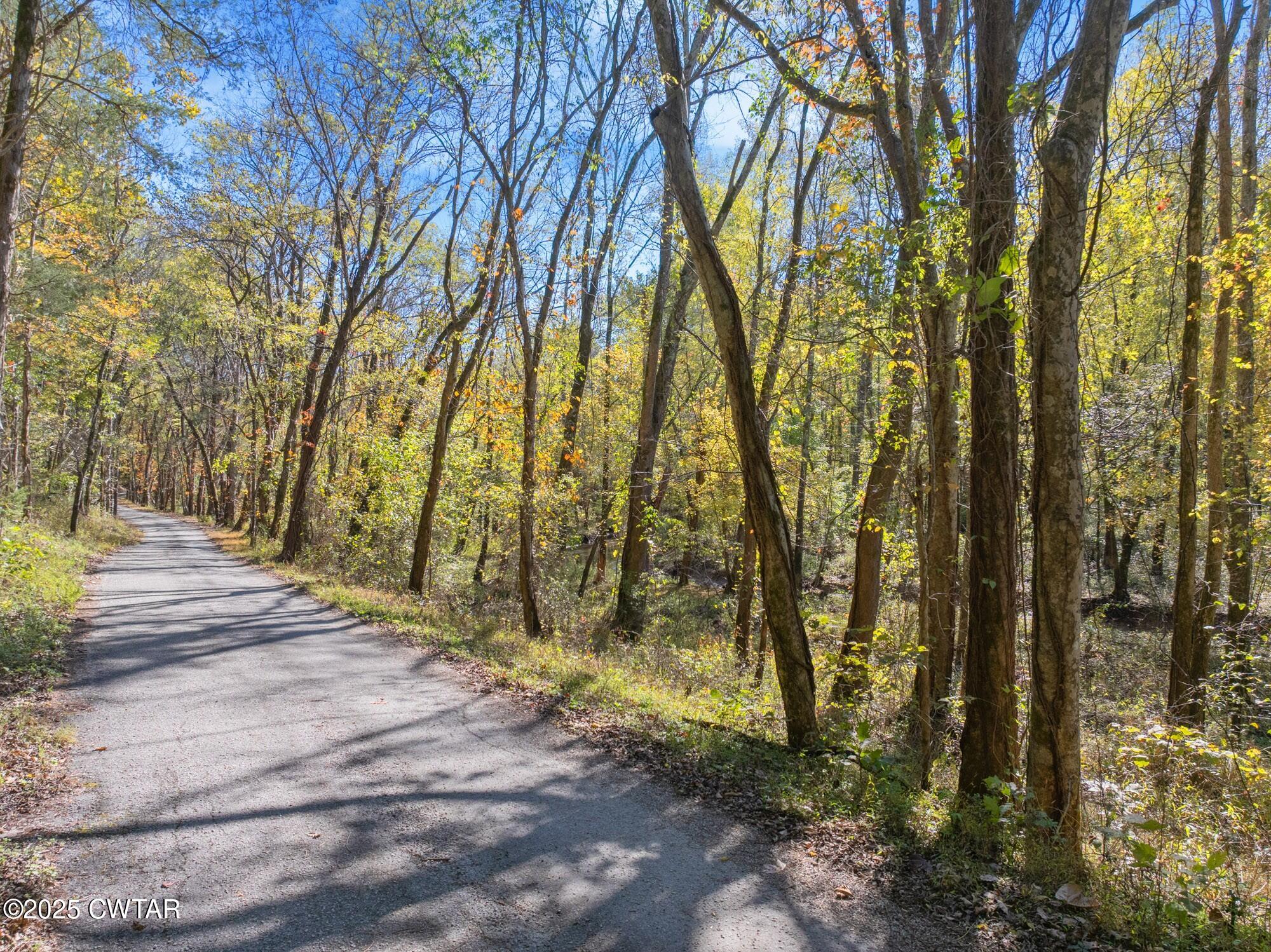 0 Dr Fisher Lane Decaturville, TN 38329 - Photo 4 of 25 a view of backyard with tree