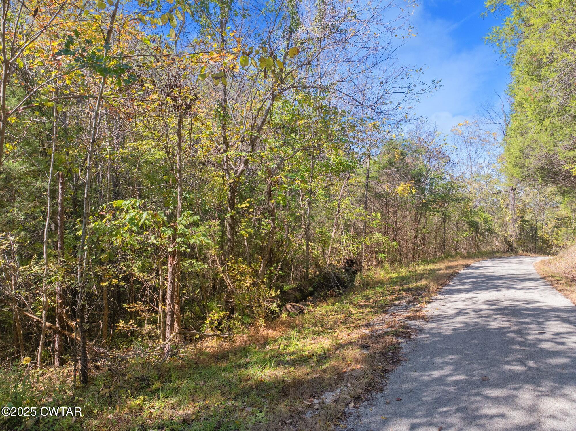 0 Dr Fisher Lane Decaturville, TN 38329 - Photo 10 of 25 a view of outdoor space and a yard
