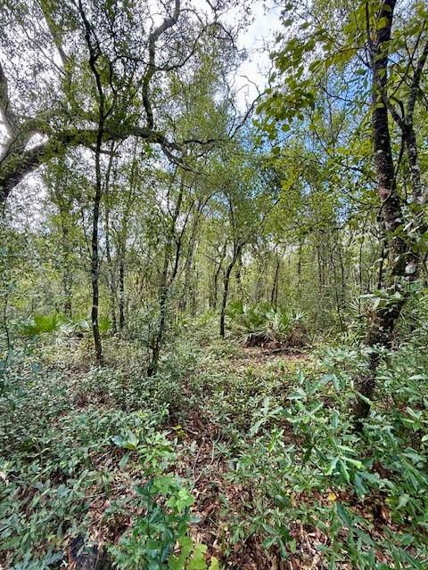 0 Gresham Road Webster, FL 33597 - Photo 12 of 18