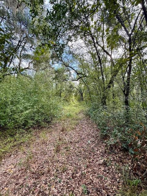 0 Gresham Road Webster, FL 33597 - Photo 13 of 18 a view of a large yard with lots of green space