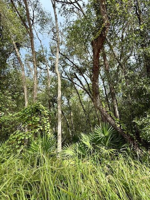 0 Gresham Road Webster, FL 33597 - Photo 16 of 18