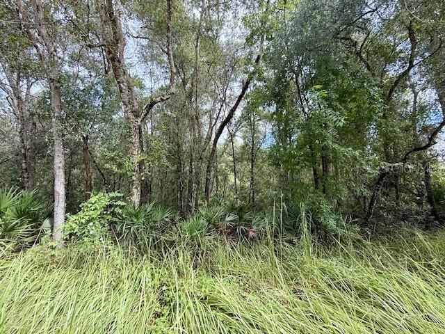 0 Gresham Road Webster, FL 33597 - Photo 18 of 18 a view of a garden