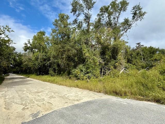 0 Gresham Road Webster, FL 33597 - Photo 7 of 18 a view of a backyard of the house