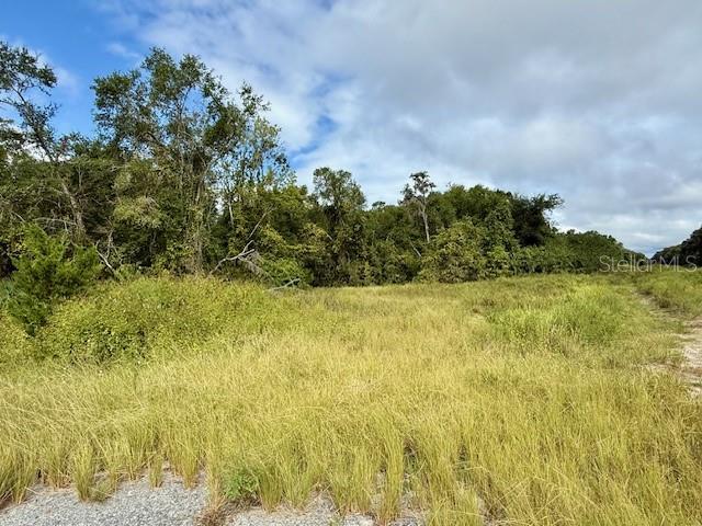 0 Gresham Road Webster, FL 33597 - Photo 8 of 18 a view of a yard