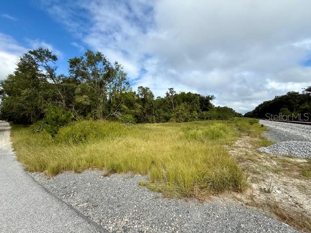 0 Gresham Road Webster, FL 33597 - Photo 9 of 18