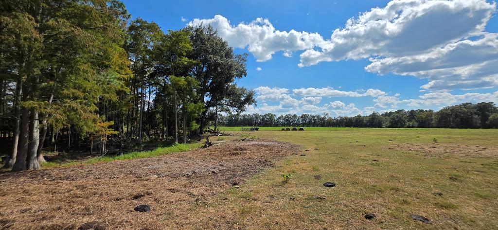5.8-acres Nobles Road Cottonwood, AL 36320 - Photo 21 of 29