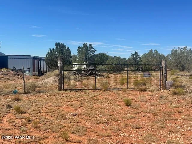 a view of a dry yard