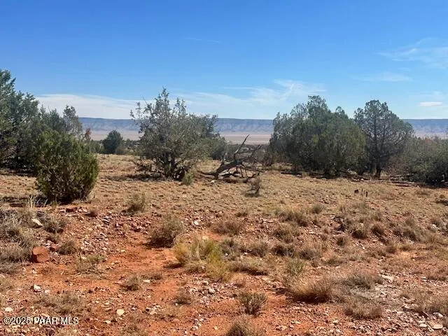 a view of a field with a tree in the background