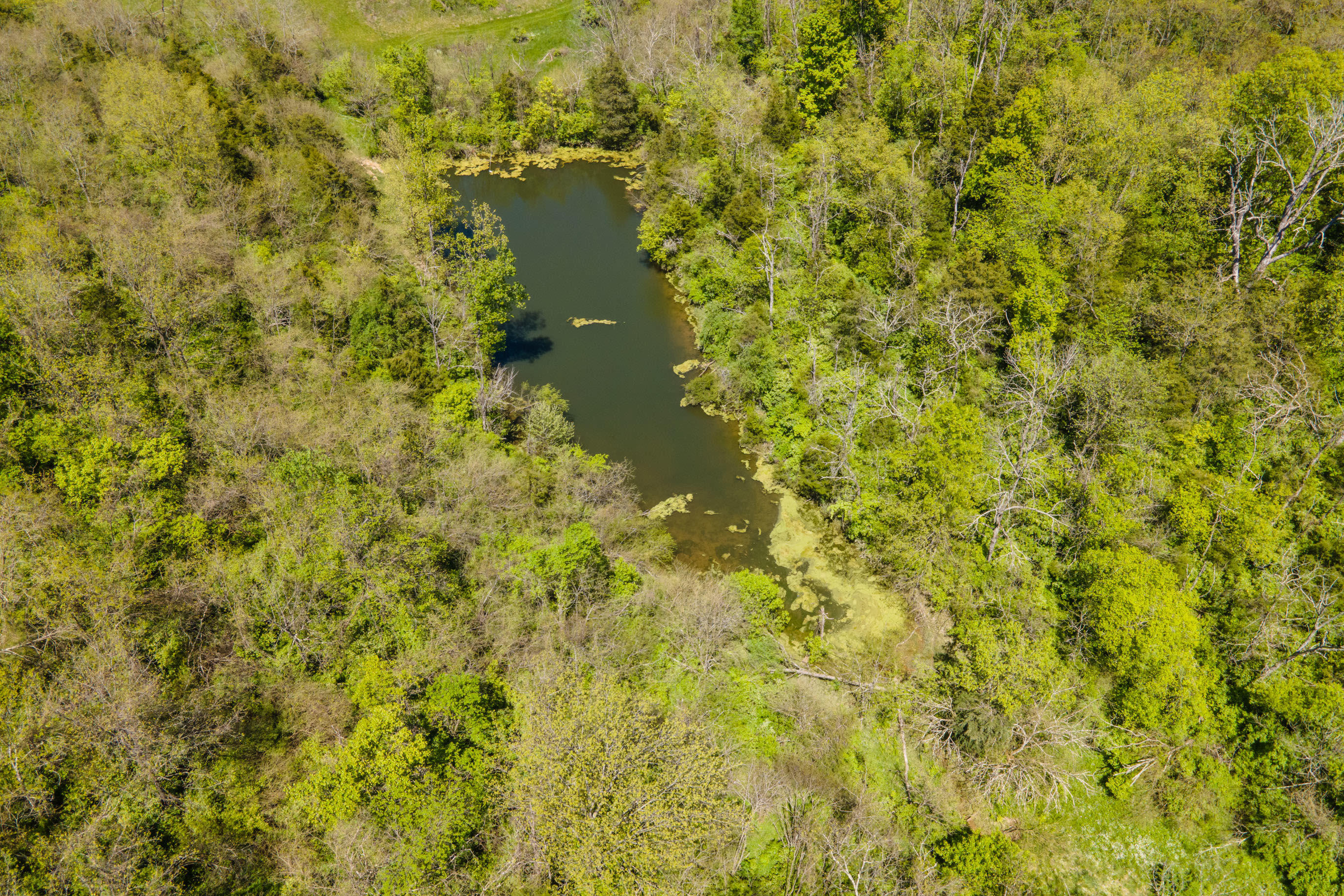 2080 Elm Fork Road Nicholasville, KY 40356 - Photo 76 of 91 20210512-2080-Elmfork-Rd-smith-drone-rea