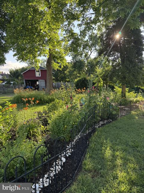 1109 Locust Street Cambridge, MD 21613 - Photo 13 of 55 Garden view from rear Alley access