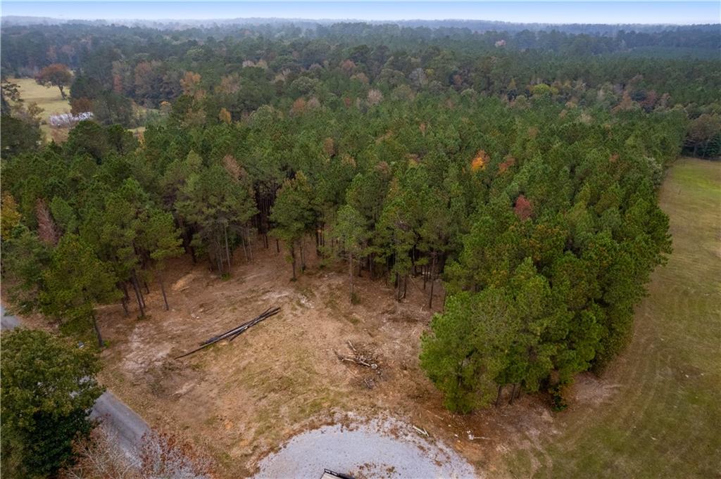 3 Bass Road Pineville, LA 71360 - Photo 15 of 18 Gallery Image 15