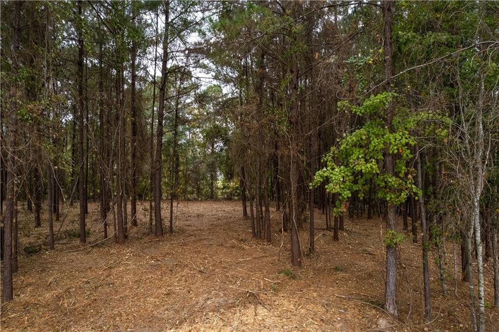 3 Bass Road Pineville, LA 71360 - Photo 18 of 18 Gallery Image 18
