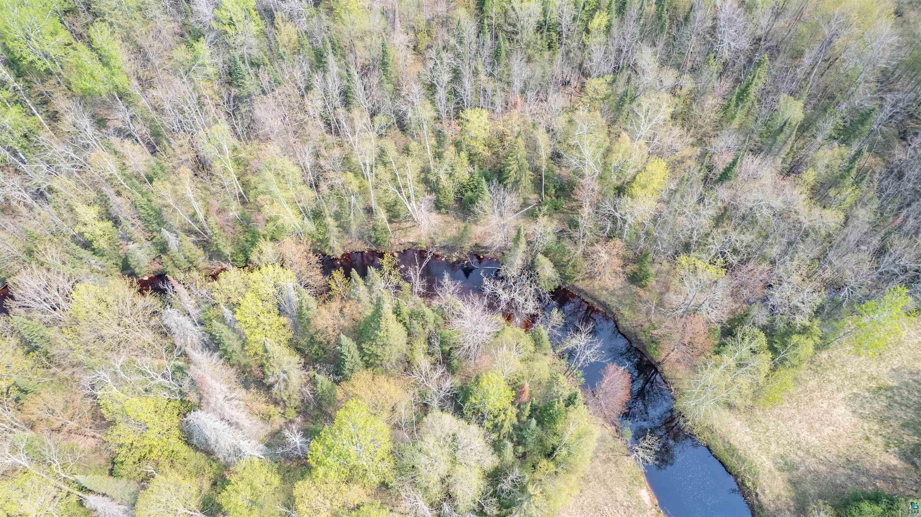 Xxxx Forest Road South Range, WI 54874 - Photo 6 of 13