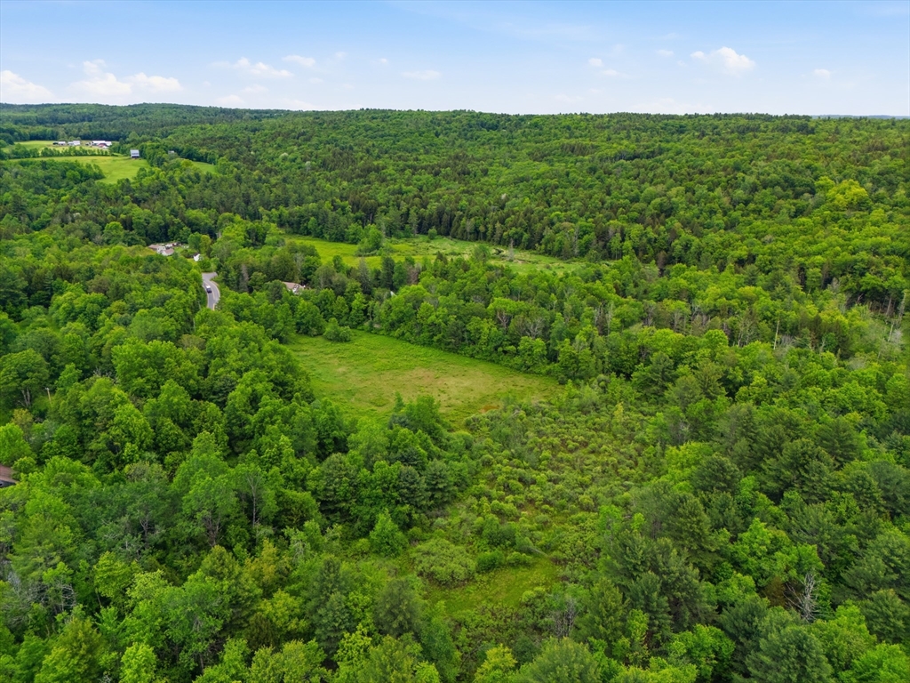 0 Capen/ Clark Road Worthington, MA 01098 - Photo 10 of 13