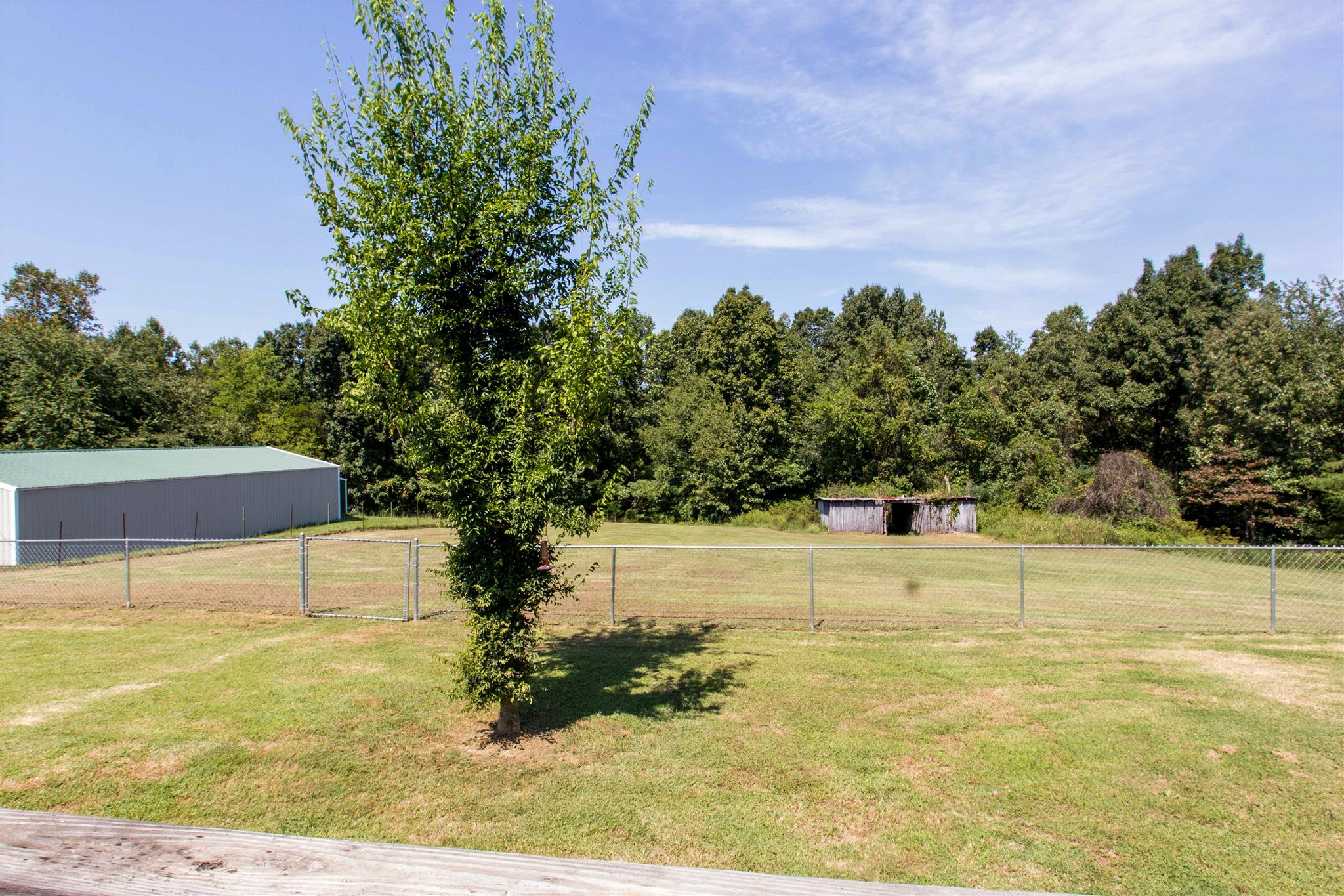 1244 Petty Road White Bluff, TN 37187 - Photo 15 of 18 Gallery Image 15
