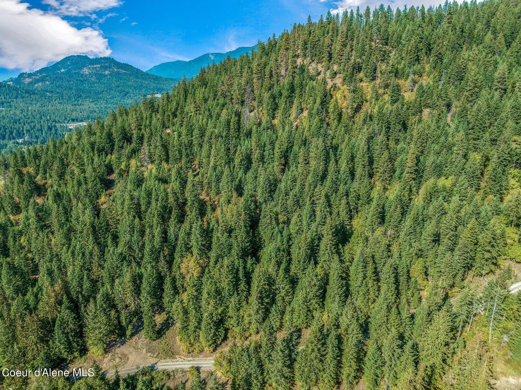 818 Silver Creek Road Clark Fork, ID 83811 - Photo 25 of 45 Forested