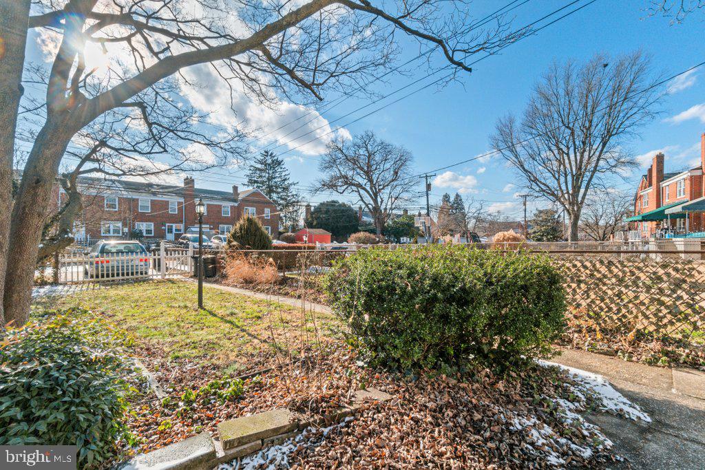 1529 Cottage Lane Towson, MD 21286 - Photo 42 of 43 a view of yard with tree s