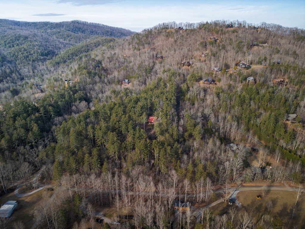 148 Dream Cove Road Cherry Log, GA 30522 - Photo 27 of 27