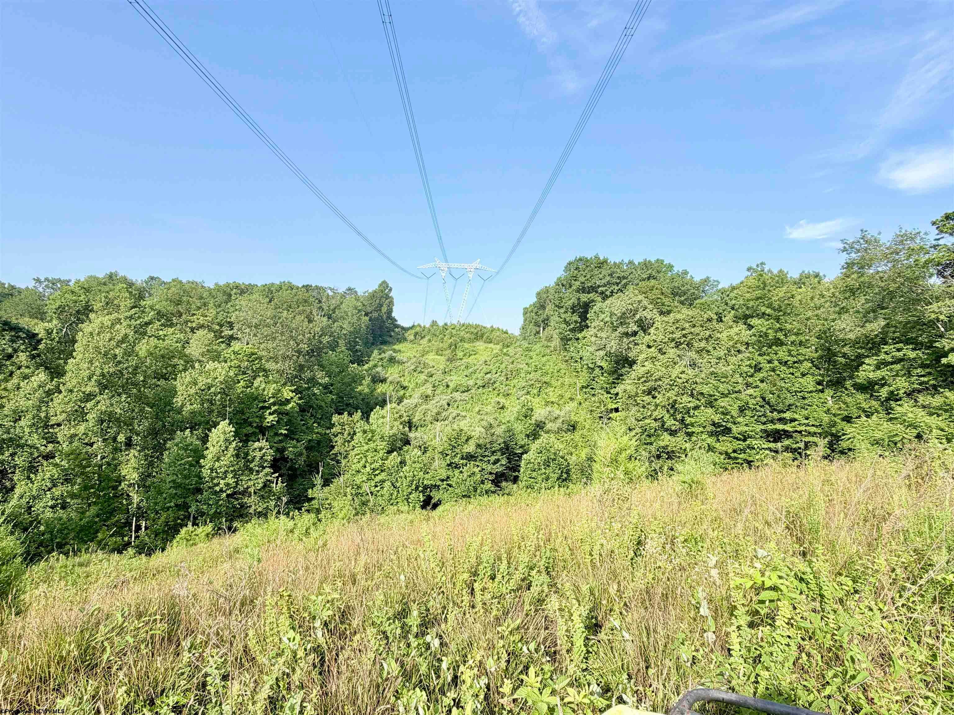 0 Parkersburg Road Ripley, WV 25271 - Photo 13 of 28 Gallery Image 13