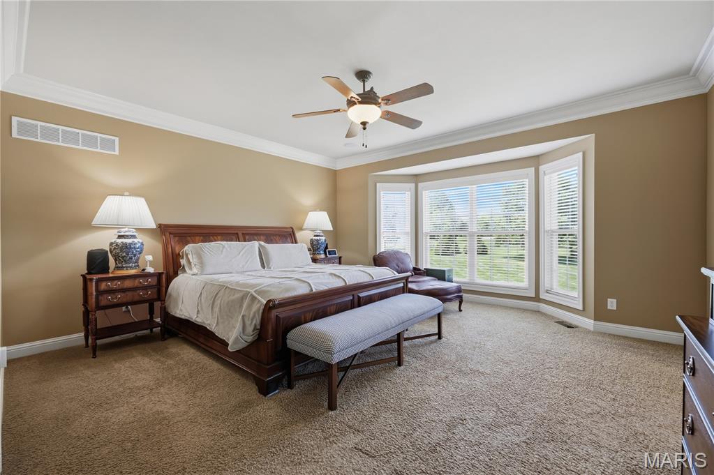 238 Cornwall Weldon Spring, MO 63304 - Photo 11 of 62