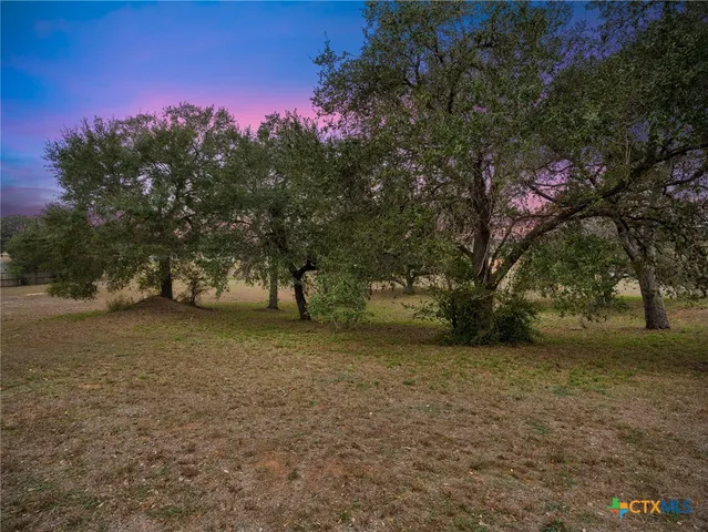 a view of a tree in front of a house