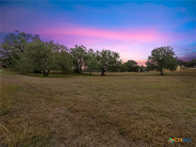 a view of a field with sunset