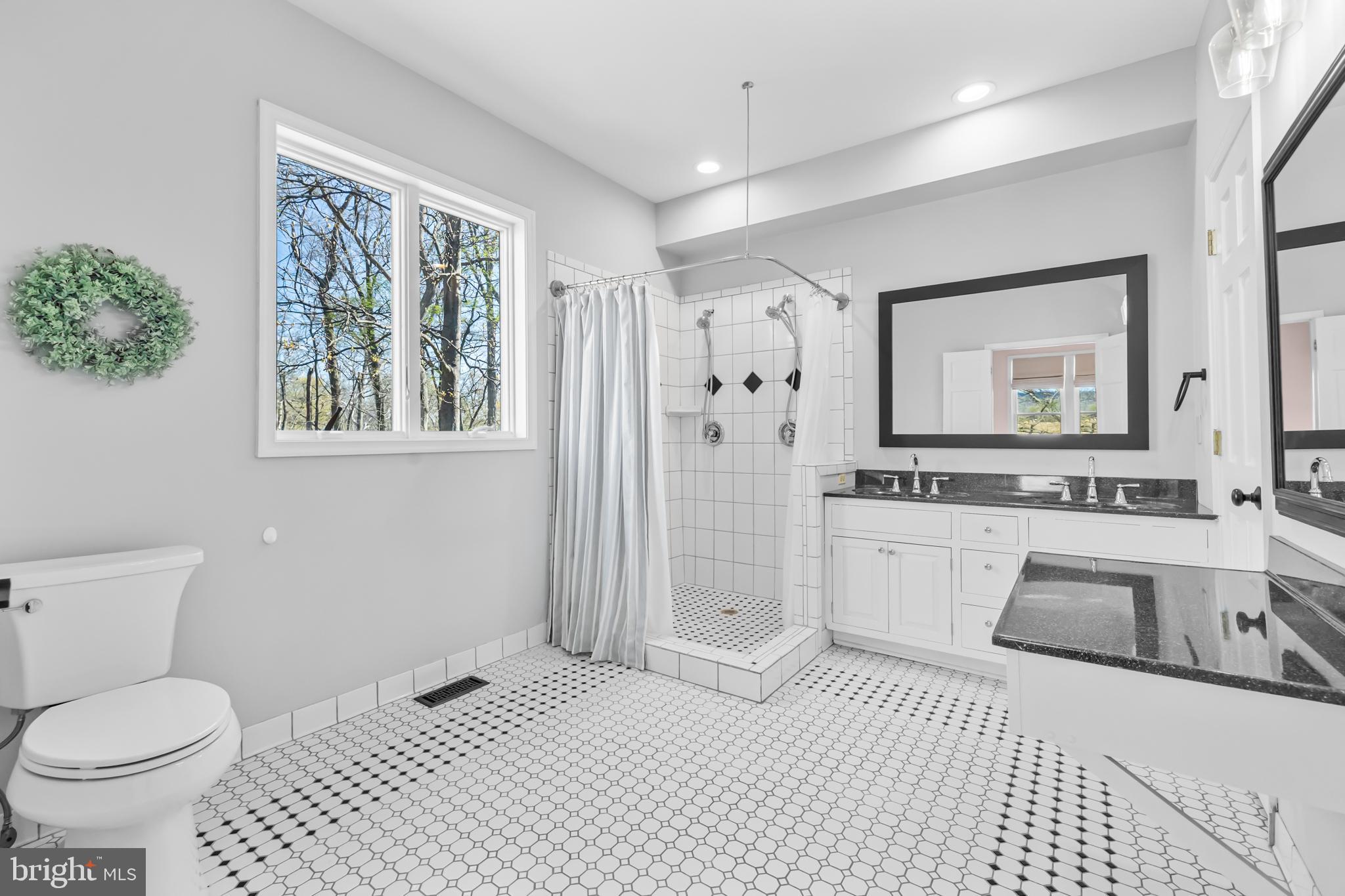 15657 Purcellville Road Purcellville, VA 20132 - Photo 37 of 72 a bathroom with a sink toilet and shower