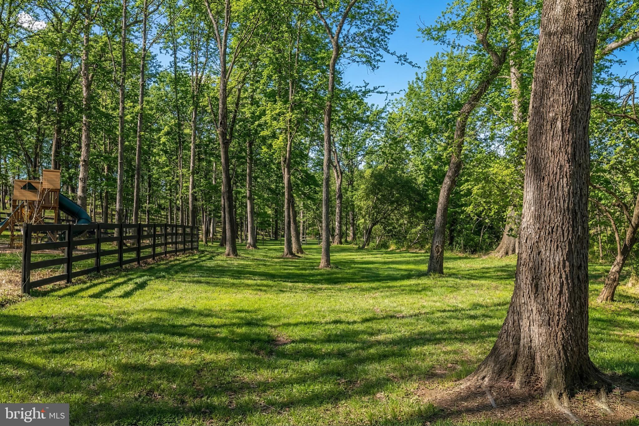 15657 Purcellville Road Purcellville, VA 20132 - Photo 59 of 72 a view of a park with a trees
