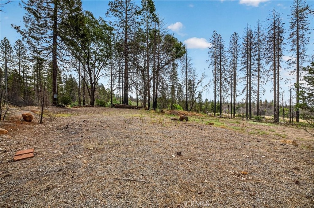 9627 Cohasset Road Chico, CA 95973 - Photo 9 of 29