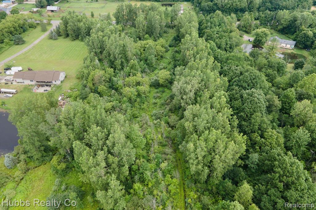 0 Birch Run Road Millington, MI 48746 - Photo 11 of 14