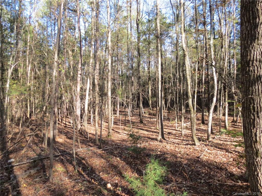 1248 Daniel Road York, SC 29745 - Photo 1 of 9