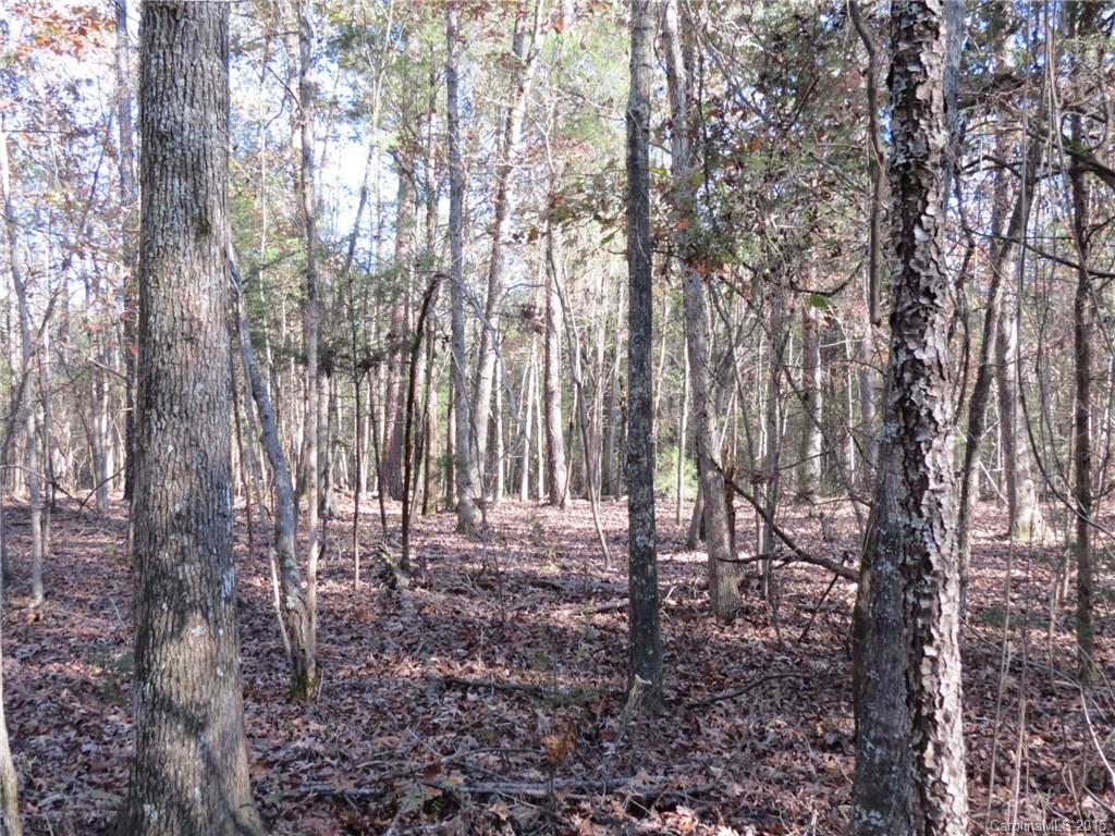 1248 Daniel Road York, SC 29745 - Photo 2 of 9