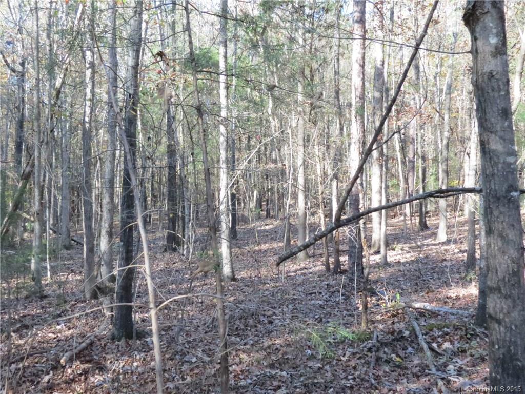 1248 Daniel Road York, SC 29745 - Photo 3 of 9