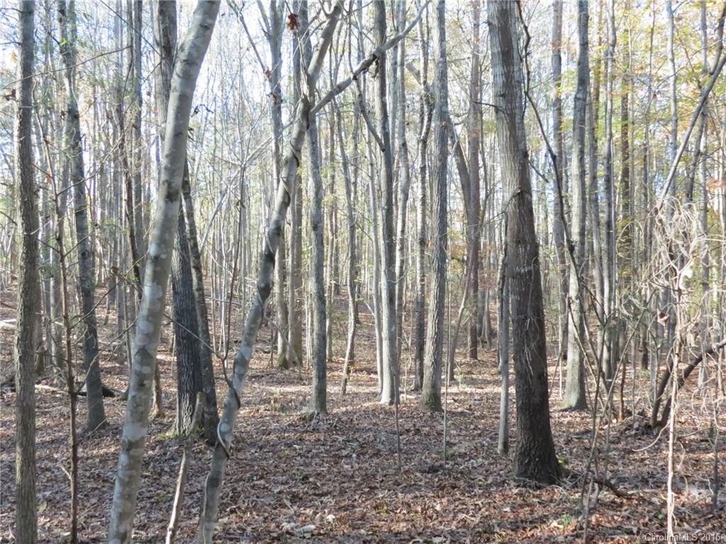 1248 Daniel Road York, SC 29745 - Photo 4 of 9