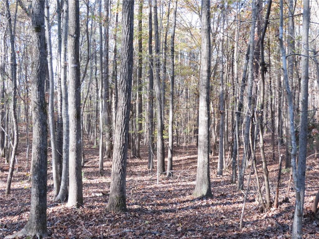1248 Daniel Road York, SC 29745 - Photo 5 of 9